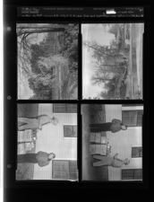 H. B. Lilly and J. M. Ward Find more Bootleg; Ice on trees after sprinklers left on (4 Negatives) (March 16, 1954) [Sleeve 35, Folder c, Box 3]