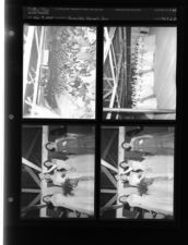 Farmville Farmer's Day (4 Negatives) (April 9, 1954) [Sleeve 27, Folder d, Box 3]