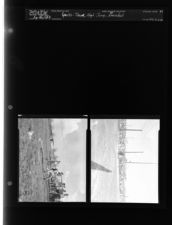 Sports-Track, High Jump, Baseball (2 Negatives) (April 10, 1954) [Sleeve 34, Folder d, Box 3]