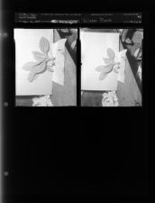 Tolakes Plants (2 Negatives) (April 16, 1954) [Sleeve 51, Folder d, Box 3]