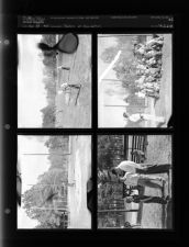 Feature on Recreation (4 Negatives) (April 17, 1954) [Sleeve 55, Folder d, Box 3]