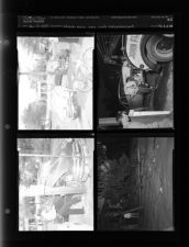 Sleeve 59, Folder d, Box 3