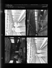Big Farm Edition (4 Negatives) (April 28, 1954) [Sleeve 91, Folder d, Box 3]