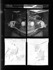 Big Farm Edition -- 4-H member (4 Negatives) (April 28, 1954) [Sleeve 107, Folder d, Box 3]