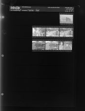 Farm - Pigs (7 Negatives), undated [Sleeve 22, Folder d, Box 45]
