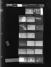 Football (19 Negatives (October 7, 1967) [Sleeve 16, Folder a, Box 44]