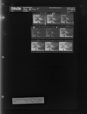 Male Portrait (9 Negatives (October 13, 1967) [Sleeve 41, Folder a, Box 44]