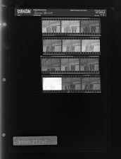 Green House (12 Negatives (October 27, 1967) [Sleeve 76, Folder a, Box 44]