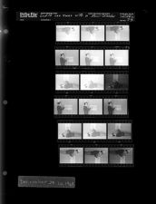 Judith Lee Jones with a New Calander (18 Negatives) December 28 - 30, 1967 [Sleeve 23, Folder c, Box 44]