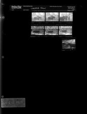 Livestock Show (7 Negatives), June 8-12, 1967 [Sleeve 28, Folder a, Box 43]