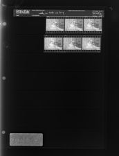 Lady on Sofa with Dog (6 Negatives), June 13-14, 1967 [Sleeve 33, Folder a, Box 43]
