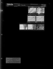 Golf Course (7 Negatives), June 26-27, 1967 [Sleeve 77, Folder a, Box 43]