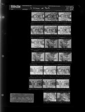 Three Women at Park (20 Negatives), June 29-30, 1967 [Sleeve 90, Folder a, Box 43]