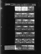 Debutante Feature- Women w- Horse (21 Negatives), July 9-11, 1967 [Sleeve 18, Folder b, Box 43]