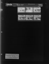 Sleeve 69, Folder c, Box 43