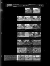 Sleeve 3, Folder d, Box 43