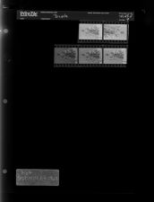 Bicycle Ad (5 Negatives), September 1-4, 1967 [Sleeve 9, Folder d, Box 43]