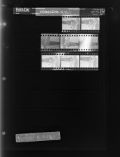 Wilcox - Fish (8 Negatives), September 15-19, 1967 [Sleeve 36, Folder d, Box 43]
