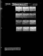 Group of Men (12 Negatives), September 20-23, 1967 [Sleeve 54, Folder d, Box 43]