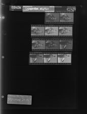 Sudan Shrine Fish Fry (11 Negatives) (September 25, 1967) [Sleeve 56, Folder d, Box 43]