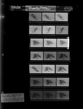 Stuart's Shoes (21 Negatives) (September 29, 1967) [Sleeve 66, Folder d, Box 43]