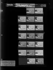 Sarah Cavanaugh (19 Negatives) (September 29, 1967) [Sleeve 69, Folder d, Box 43]