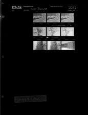 Snow Pictures (9 Negatives), February 9-11, 1967 [Sleeve 34, Folder a, Box 42]