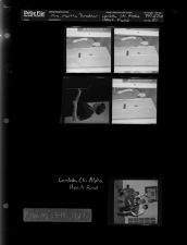 Mrs. Martha Bradner; Lambda Chi Alpha Heart Fund (5 Negatives), February 13-15, 1967 [Sleeve 47, Folder a, Box 42]