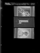 Aerial View of Land; Weyerhaeuser Logo; Portrait of Bride (3 Negatives) (March 25, 1967) [Sleeve 28, Folder c, Box 42]