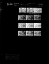 Baltimore with String of Fish (12 Negatives), May 3-4, 1967 [Sleeve 9, Folder e, Box 42]