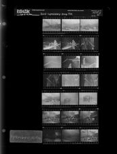 Byrd Upholstery Shop fire (21 Negatives), September 12-14, 1966 [Sleeve 35, Folder a, Box 41]