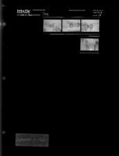 Dog (4 Negatives) (September 21, 1966) [Sleeve 16, Folder b, Box 41]