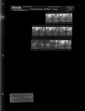 Sleeve 37, Folder b, Box 41