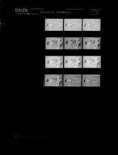 Boy scout -- Bradbury (12 Negatives), October 27-31, 1966 [Sleeve 91, Folder c, Box 41]
