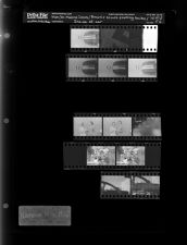Man; Dr. Malene Irons; Brownie scouts planting bulbs; Inside of car (12 Negatives), November 14-16, 1966 [Sleeve 56, Folder d, Box 41]