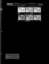 Man in garden (6 Negatives), November 17-18, 1966 [Sleeve 61, Folder d, Box 41]