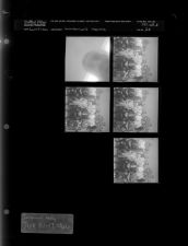 Logger's Meeting (5 Negatives), June 14-17, 1966 [Sleeve 36, Folder b, Box 40]