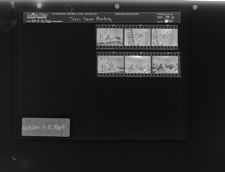 Teen Dems meeting (6 Negatives), October 11-12, 1965 [Sleeve 30, Folder a, Box 38]