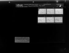 Map of Grifton by-pass (6 Negatives), October 13-14, 1965 [Sleeve 45, Folder a, Box 38]