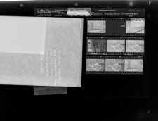 Painting; Desk; Pitt - Greene Electric Membership Corporation (9 Negatives), October 15, 1965 (Positives included) [Sleeve 50, Folder a, Box 38]