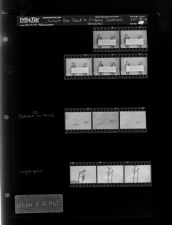 Shriner's Check for Shriners Children's; Octopus on beach; Light poles (11 Negatives), October 18-19, 1965 [Sleeve 64, Folder a, Box 38]