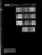 Car wreck (11 Negatives), December 1-2, 1965 [Sleeve 4, Folder c, Box 38]