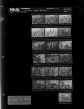 Kinston logger rescued (19 Negatives), December 1-2, 1965 [Sleeve 5, Folder c, Box 38]