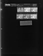 Two men at desk-Beau and Brumels (?) (6 Negatives) (August 4, 1965) [Sleeve 16, Folder a, Box 37]