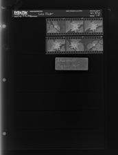 Lotus Flower (6 Negatives), August 9-10, 1965 [Sleeve 29, Folder a, Box 37]