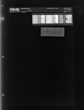 Train (3 Negatives) (August 11, 1965) [Sleeve 42, Folder a, Box 37]