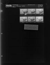 Three ladies (6 Negatives), September 14-15, 1965 [Sleeve 58, Folder b, Box 37]