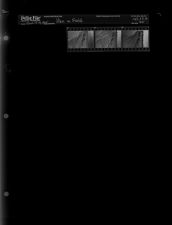 Men in Field (3 Negatives), September 18-21, 1965 [Sleeve 94, Folder b, Box 37]