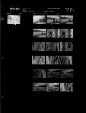 Fishing at Yanker Hall (19 Negatives), May 5-7, 1965 [Sleeve 18, Folder b, Box 36]