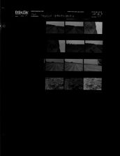 Sleeve 47, Folder b, Box 36